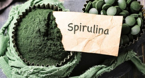 Spirulina pure sport